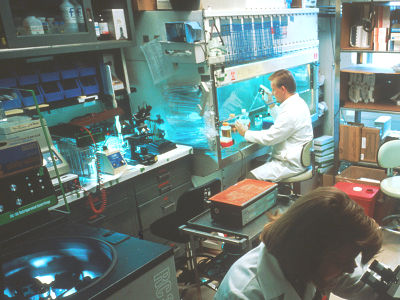 Laboratory