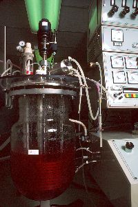 Pharmaceutical Batch Process